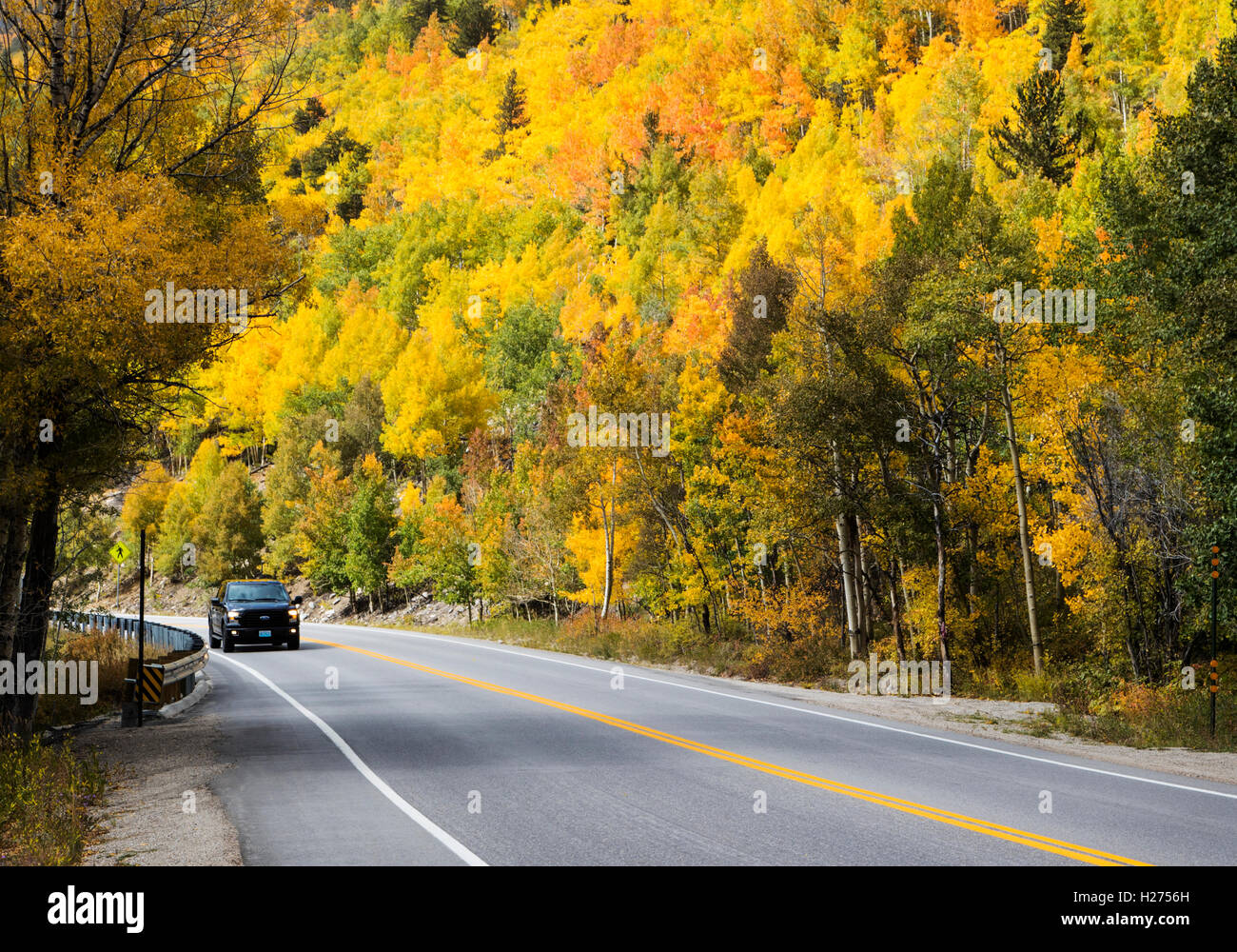 LKW auf USA Highway 50 & Herbstlaub in der Nähe von Monarch Pass; Zentralen Colorado; USA Stockfoto