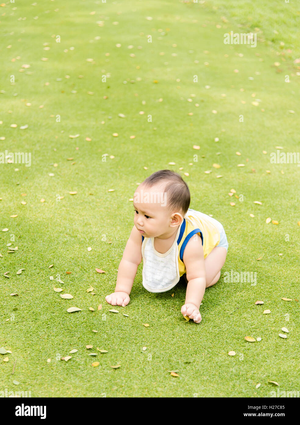 Outdoor Portrait asiatische Babyjungen spielen sitzen und krabbeln auf der grünen Wiese im park Stockfoto