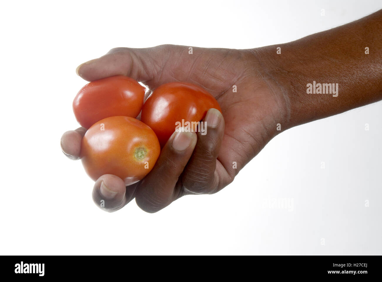 Afrikaner hand halten oder bietet drei Tomaten Stockfoto