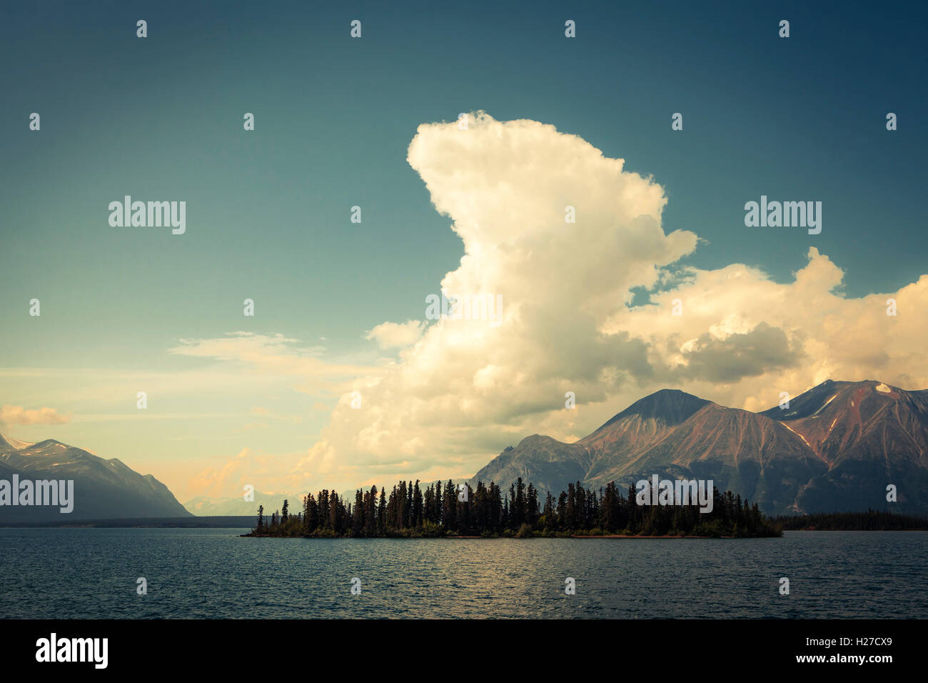 Bove-Insel in Tagish Lake, Yukon Kanada im Sommer mit Vintage-Färbung. Stockfoto