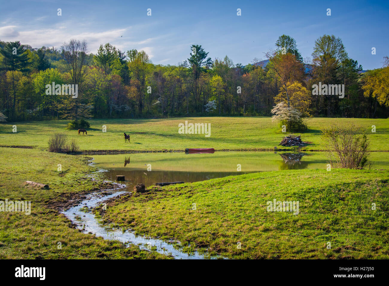Kleiner Bach und Teich in der ländlichen Shenandoah Valley of Virginia. Stockfoto