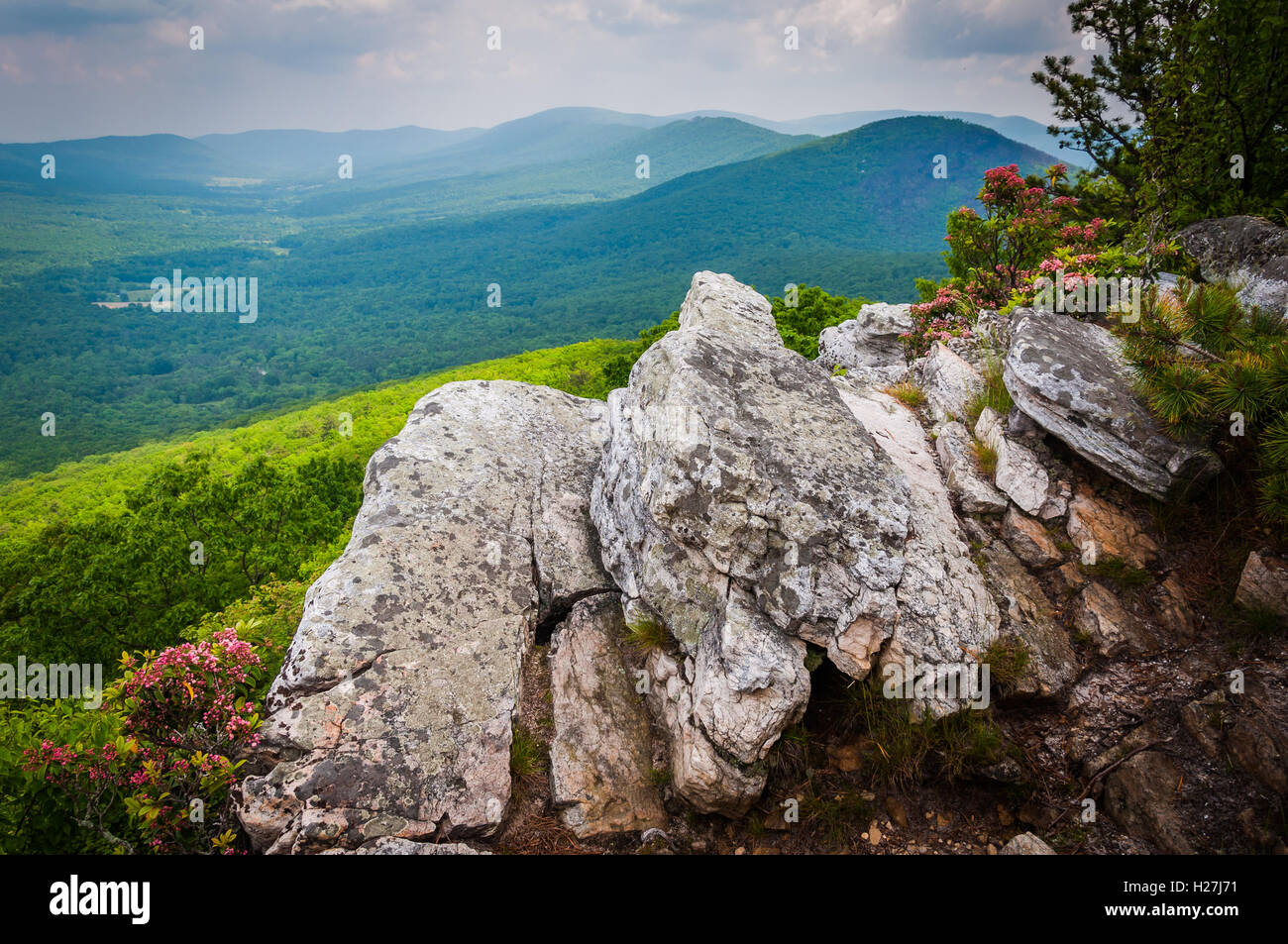 Blick auf den Grat und Tal Appalachen von Tibbet Regler George Washington National Forest, Virginia. Stockfoto