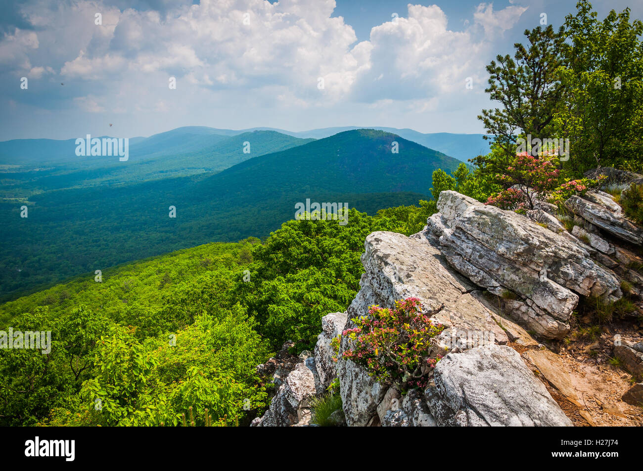 Blick auf den Grat und Tal Appalachen von Tibbet Regler George Washington National Forest, Virginia. Stockfoto