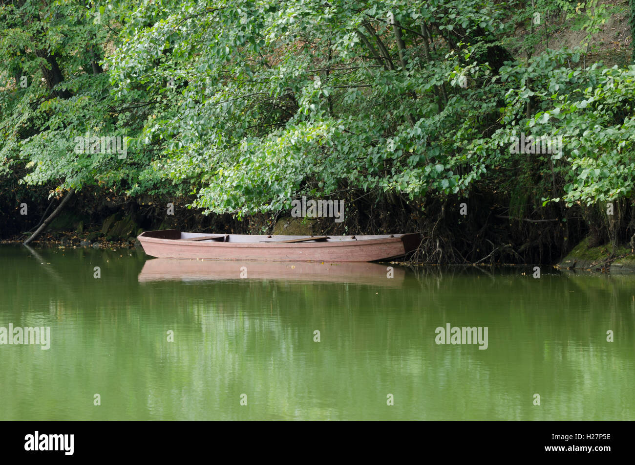 Holzboot und Laub spiegelt sich in der ruhigen See Stockfoto