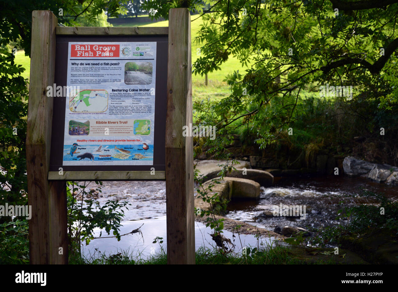 Hölzerne Informationstafel am Ball Grove Fish Pass auf dem Ferndean Way in Colne Water in Colne, Pendle Lancashire, England, Großbritannien Stockfoto