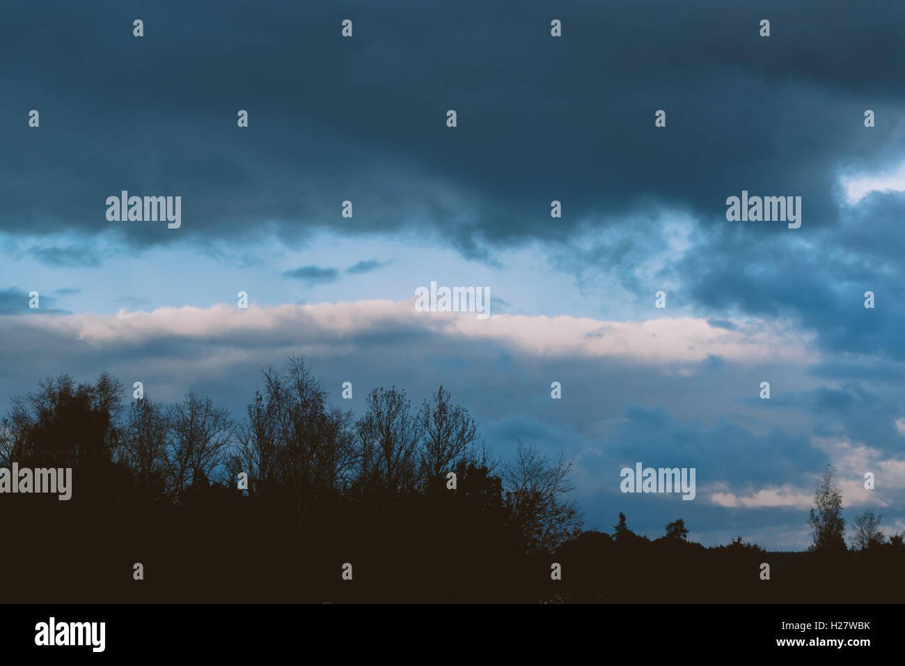 Gewitterwolken über dem Wald Stockfoto