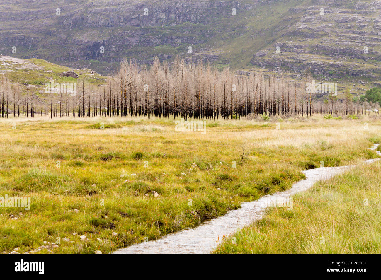 Schottischen Flusses Trog Landschaft. Blick auf den Fluss Perspektive. Schottland-panorama Stockfoto