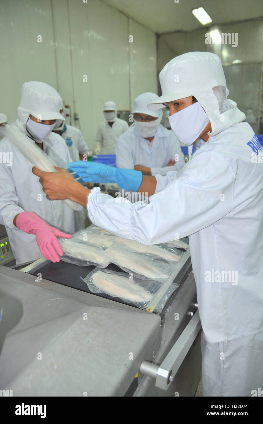 Can Tho, Vietnam - 1. Juli 2011: Arbeitnehmer sind Vakuum-Verpackung von Pangasius-Wels in einer Meeresfrüchte-Fabrik im Mekong-Delta v Stockfoto