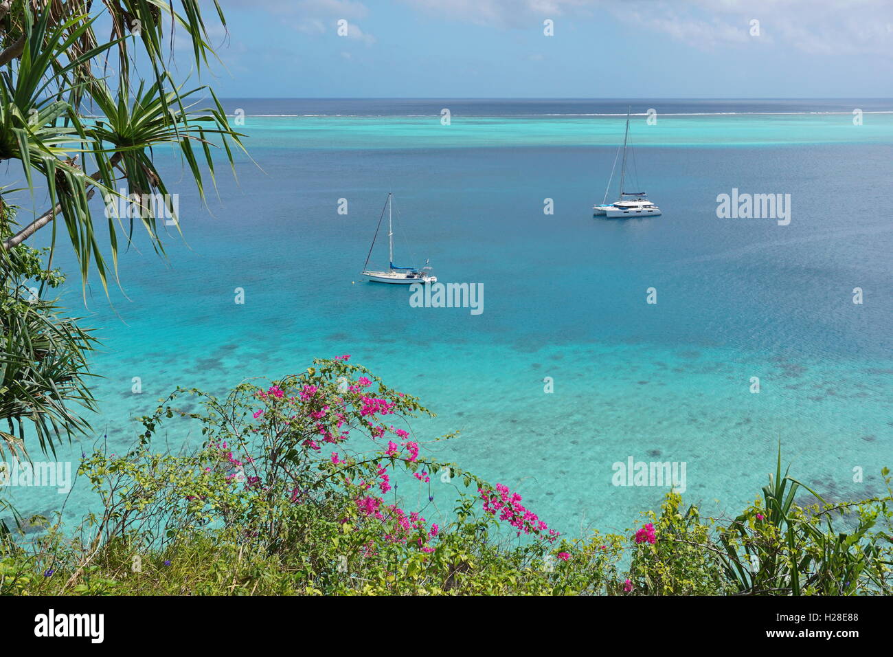 Segelboot mit tropischer Vegetation im Vordergrund, Pazifik, Huahine, Französisch-Polynesien im blauen Wasser der Lagune verankert. Stockfoto
