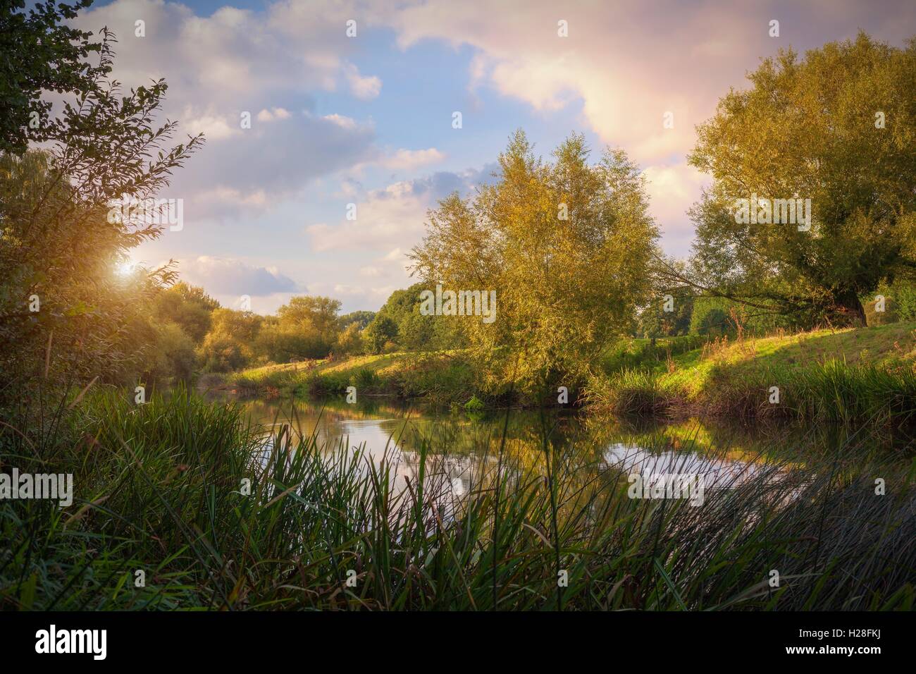 Fluß Avon in der Abenddämmerung, Welford on Avon, Stratford-upon-Avon, Warwickshire, England Stockfoto