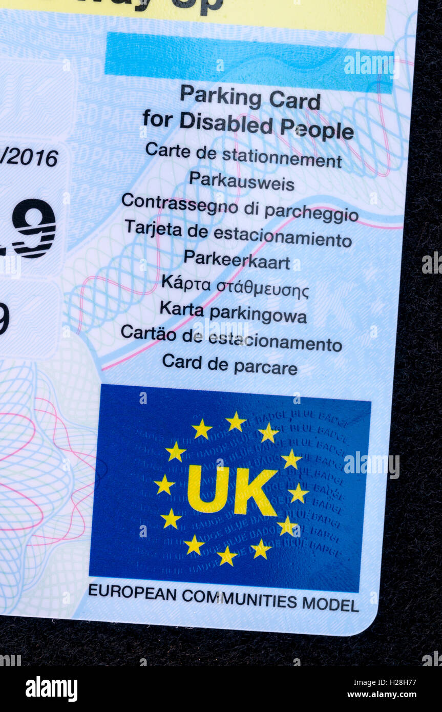 UK blauen Parkausweis für behinderte Menschen, die Anzeige der EU-Flagge mit Worten UK und Modell der Europäischen Gemeinschaften. Stockfoto