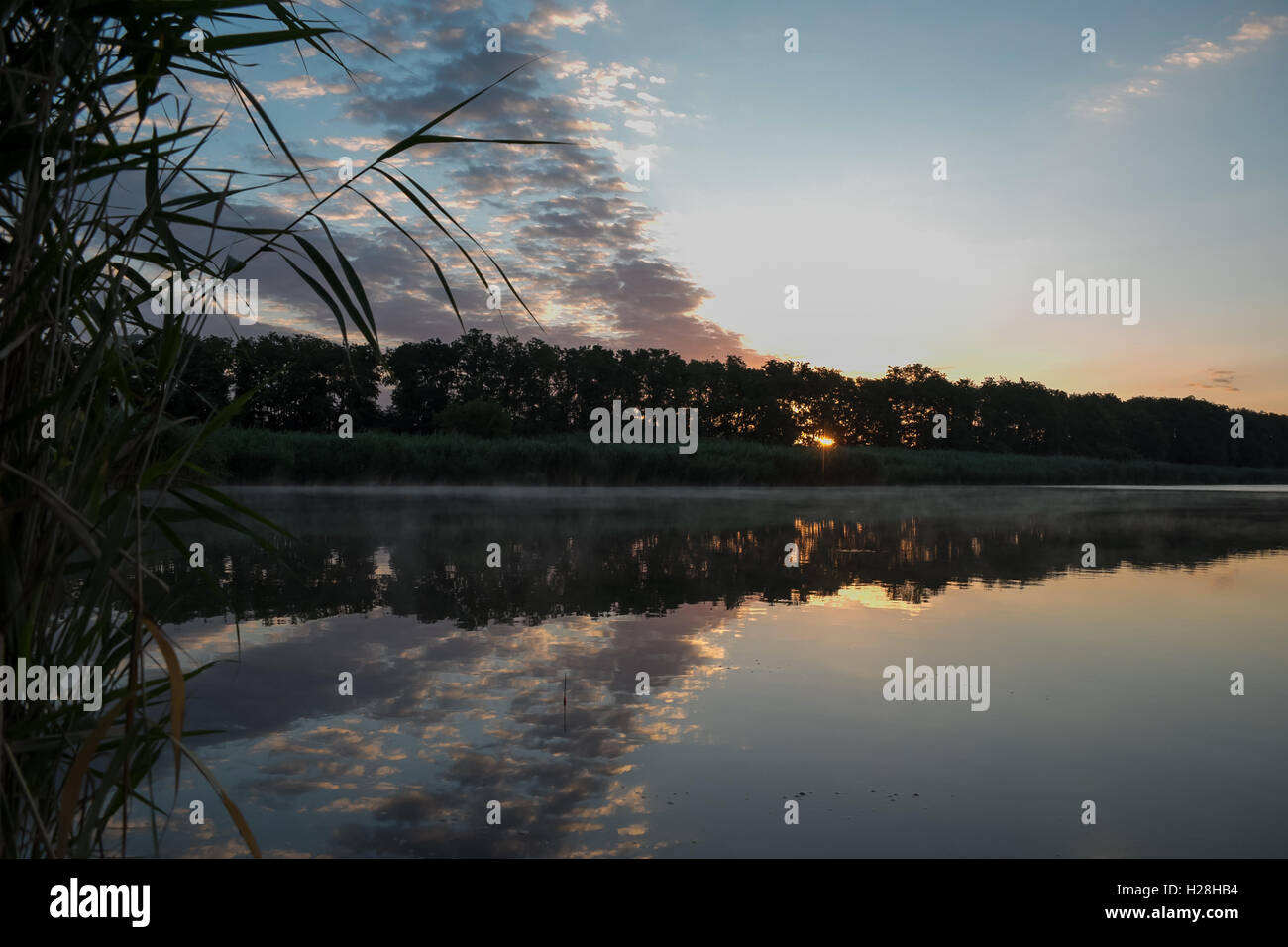 Sonnenaufgang im Fluss mit Reflex. Gespiegelte Waldgrenze am Fluss. Fantastische neblig Fluss mit frischen grünen Rasen in der sonnigen b Stockfoto