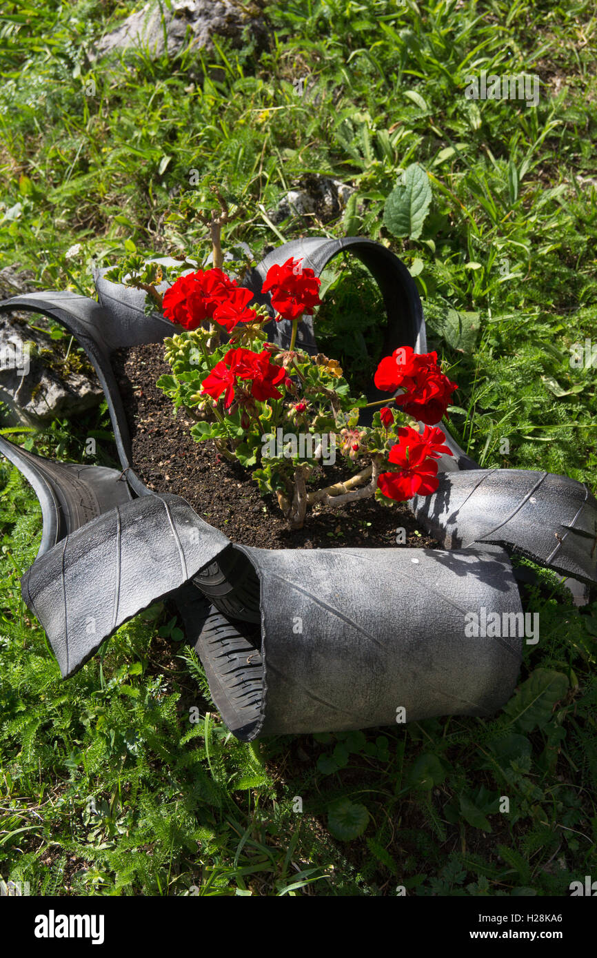 Alter Reifen Blumentopf Stockfotos und -bilder Kaufen - Alamy