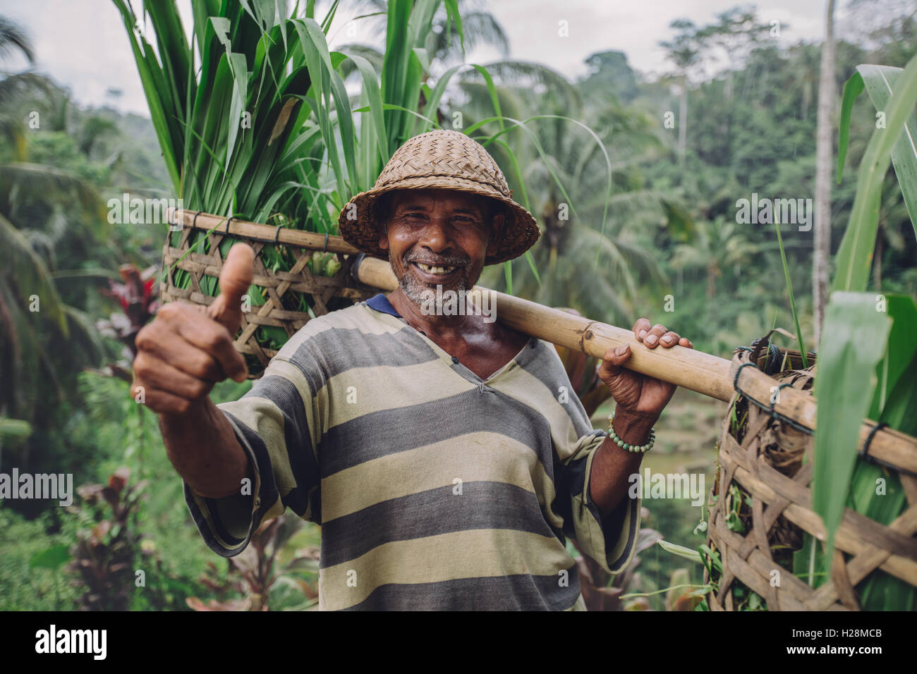 Schuss von glücklich senior Farmer Daumen aufgeben. Ältere Mann lächelnd und tragen ein Joch auf den Schultern mit Setzlingen. Stockfoto