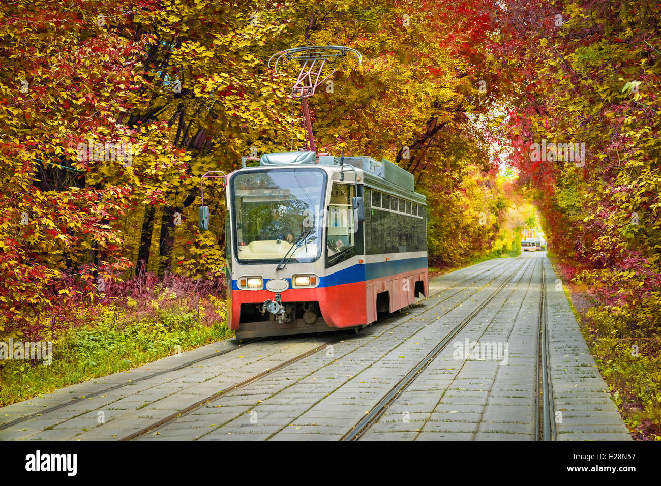 Straßenbahn durch die gelbe Herbst Park in Sokolniki Bezirk, Moskau, Russland Stockfoto