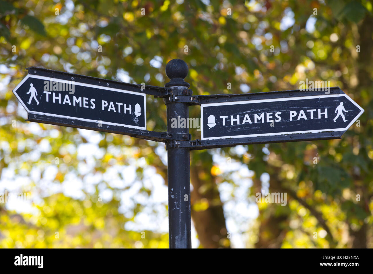 Thames Path, Uferpromenade entlang der Themse, Central London, England, UK Stockfoto