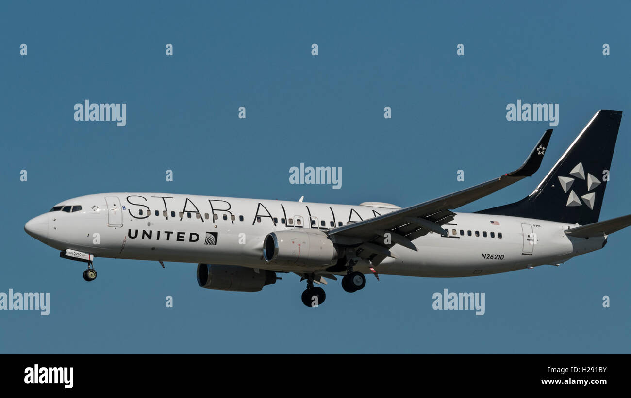 United Airlines Boeing 737 N26210 Jetliner in Star Alliance-Lackierung Stockfoto