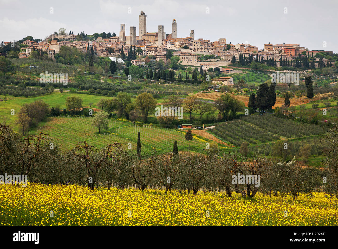 Landschaft im Frühling, Stadt San Gimignano in der Provinz Siena, Toskana, Italien Stockfoto