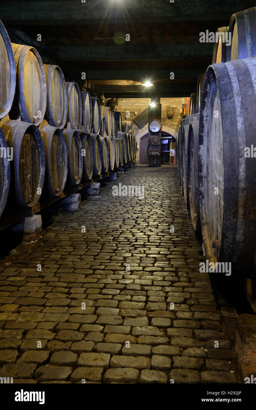 Alte Weinfässer im Weinkeller, Teneriffa, Kanarische Inseln, Spanien Stockfoto