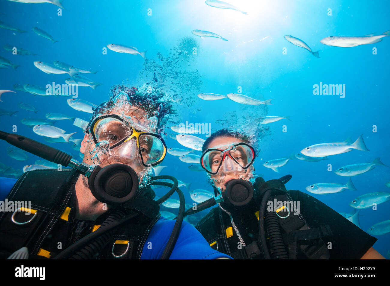 Zwei Taucher Blick in die Kamera unter Wasser. Schwarm von Fischen auf Hintergrund Stockfoto