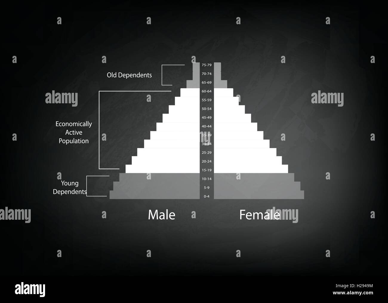 Bevölkerung und Demografie, Illustration der Detaillierungsgrad der Bevölkerung Pyramiden Diagramm oder Altersstruktur Graph auf schwarze Tafel Backgr Stock Vektor