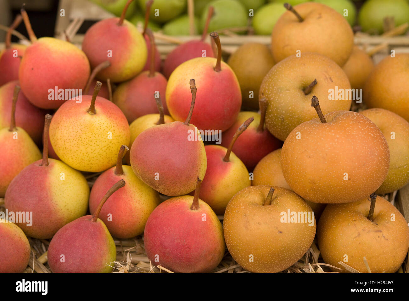 Blakeney rot und Nashi Birnen auf dem display Stockfoto