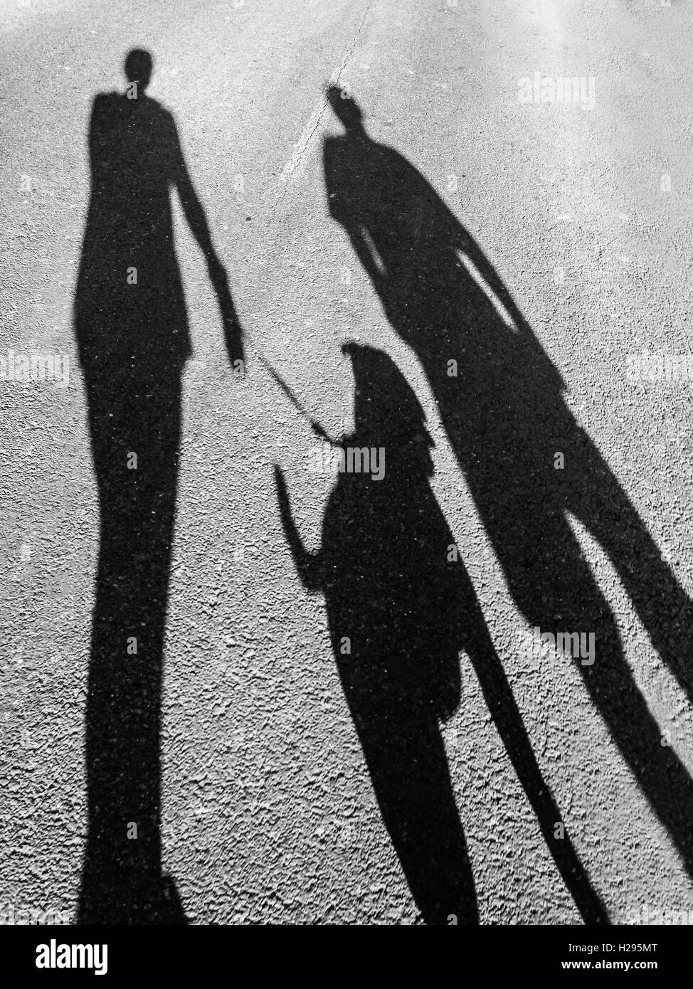 Die langen Schatten von zwei Menschen zu Fuß einen Hund, Staffordshire Bull Terrier. mobilestock Stockfoto