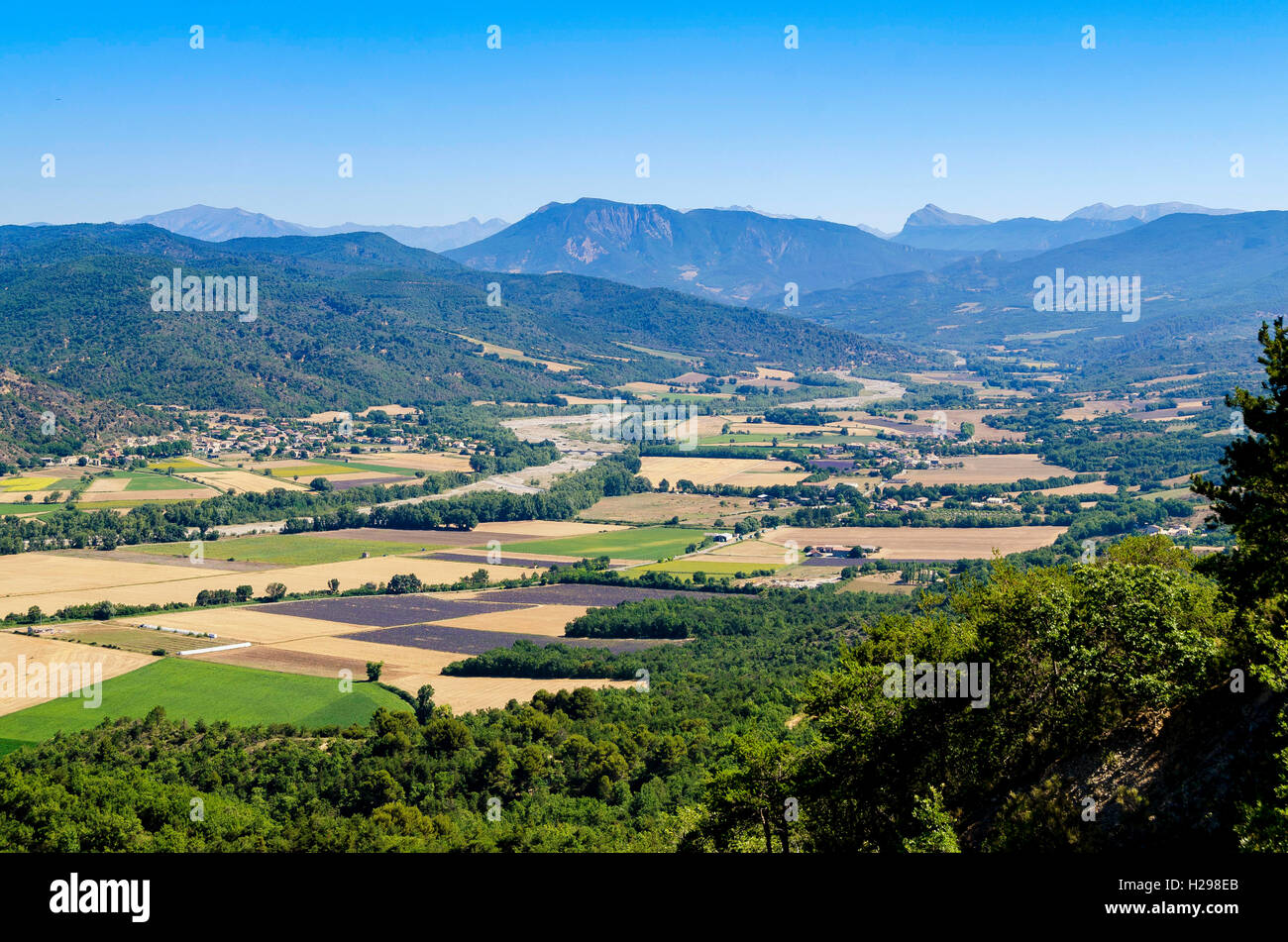 VALENSOLE, ALPES DE HAUTE PROVENCE, FRANKREICH 04 Stockfoto