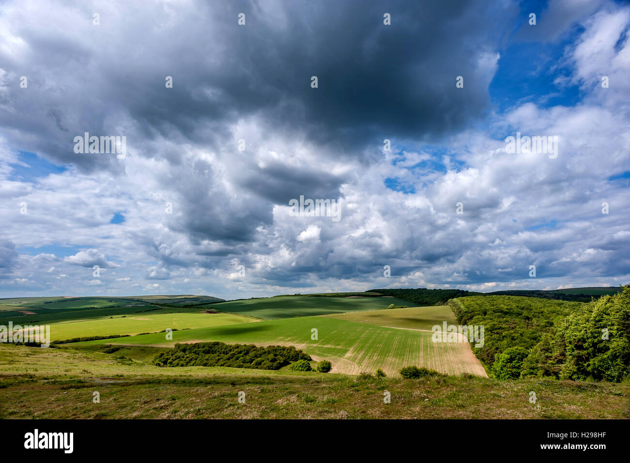 Klassische Ansicht der englischen Landschaft in der Nähe von Touristenort in Sussex Stockfoto