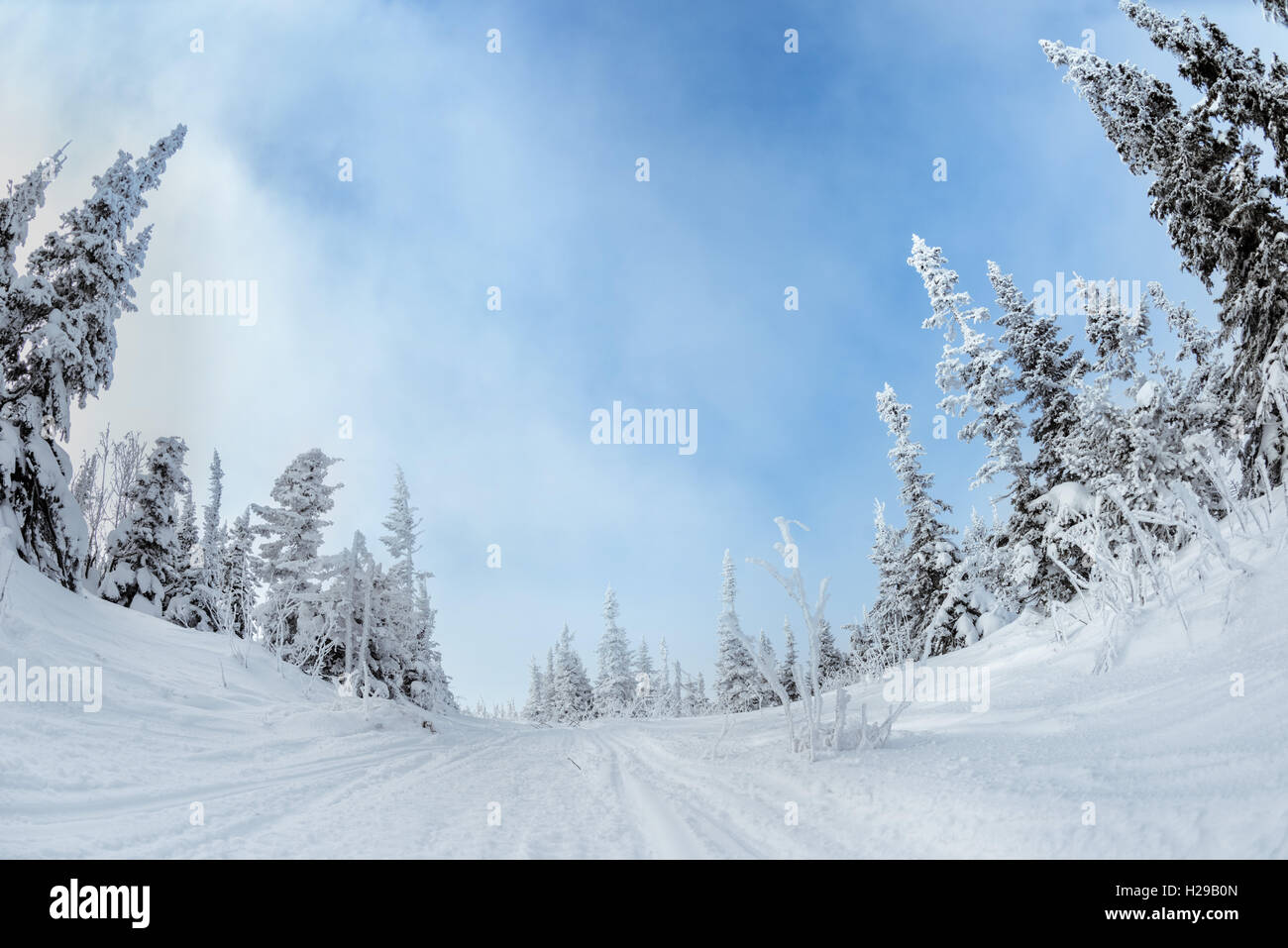 Verschneiten Wald Berge blauer Himmel Stockfoto