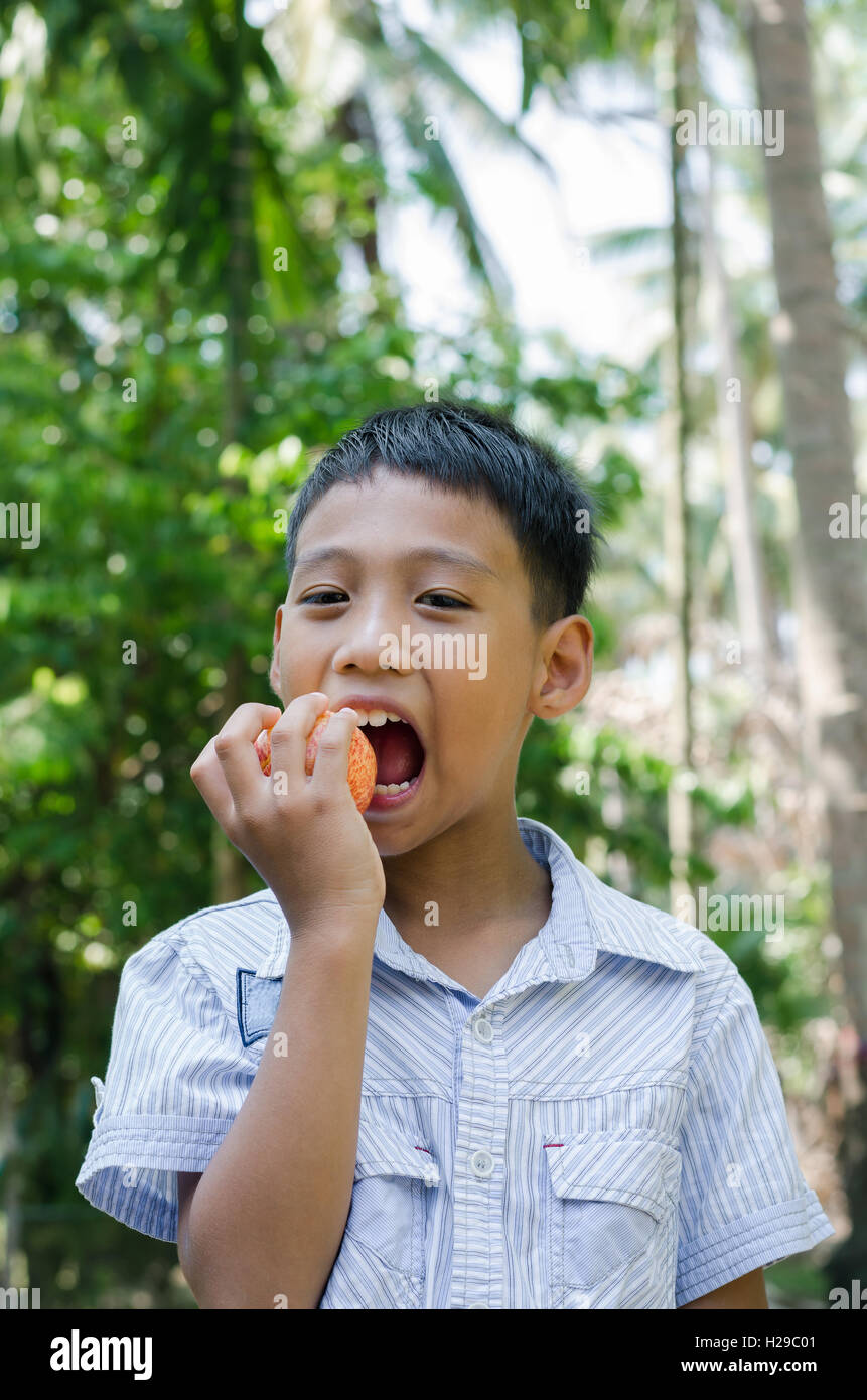 Asiatische Kind genießen Essen Apfel. Stockfoto