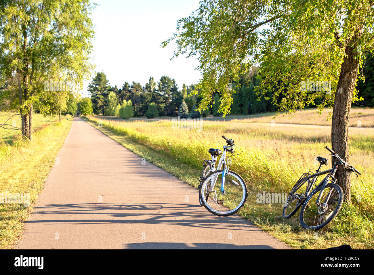 Bikes auf dem trail Stockfoto