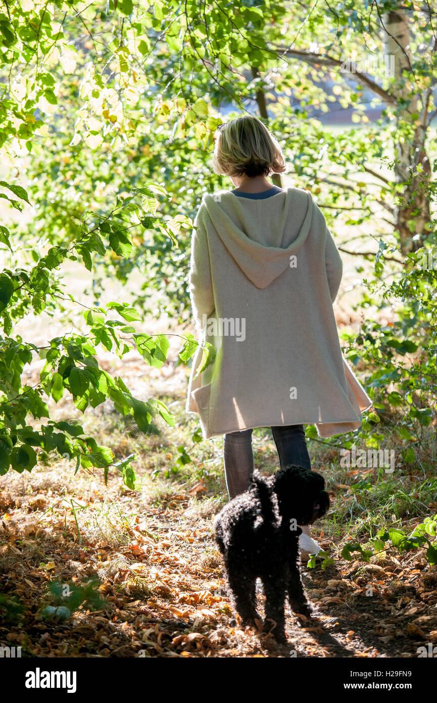 Eine Frau geht ihren Hund an einem Sommertag auf Wandsworth Common in London Stockfoto