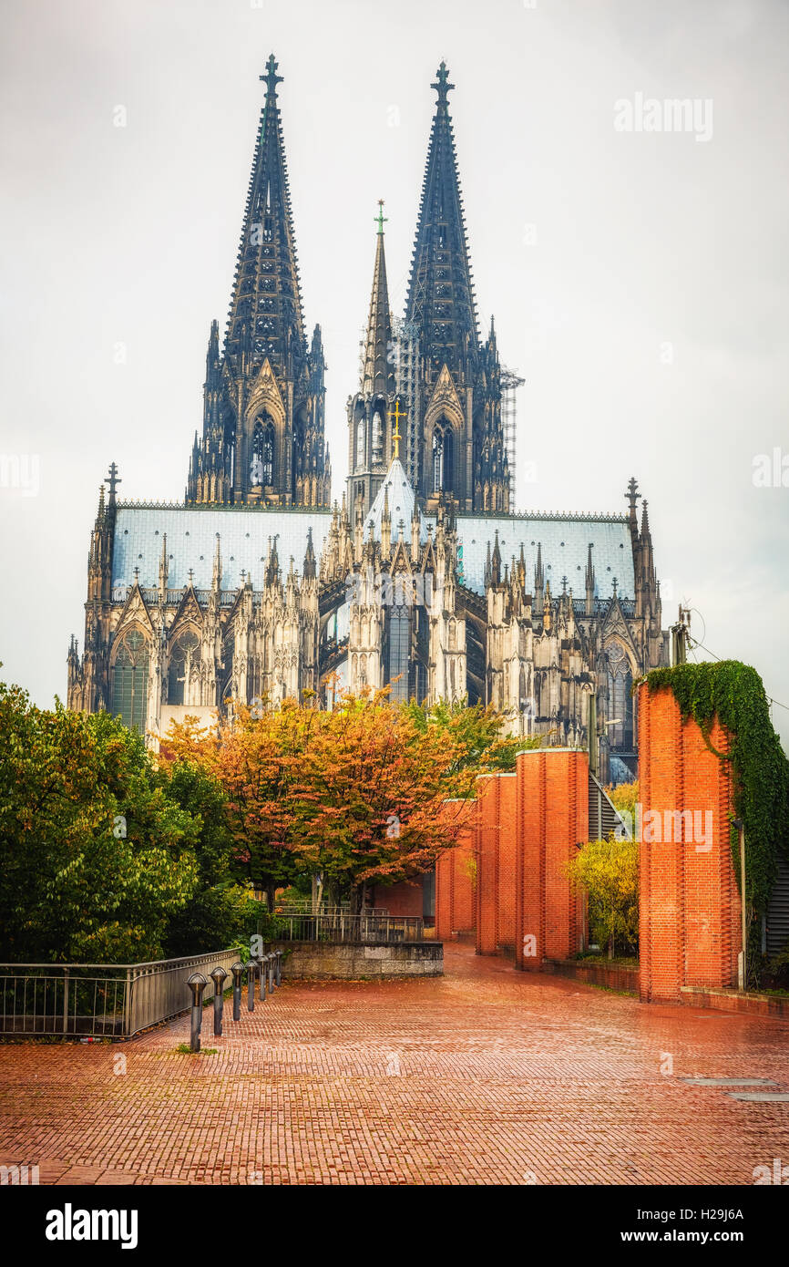 Kölner Dom, Deutschland Stockfoto