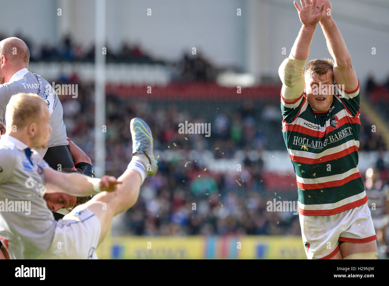 Leicester Tigers Vs Bath Rugby an der Welford Road, 25.09.16. Stockfoto