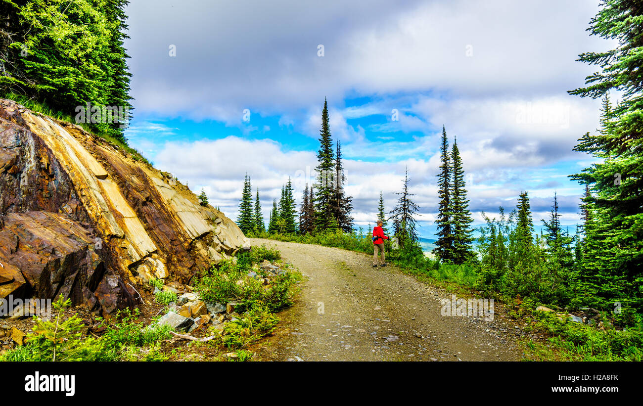Ältere Frau genießen die Aussicht vom Wanderweg auf dem Tod Mountain in der Shuswap-Hochland von Zentral-British Columbia, Kanada Stockfoto