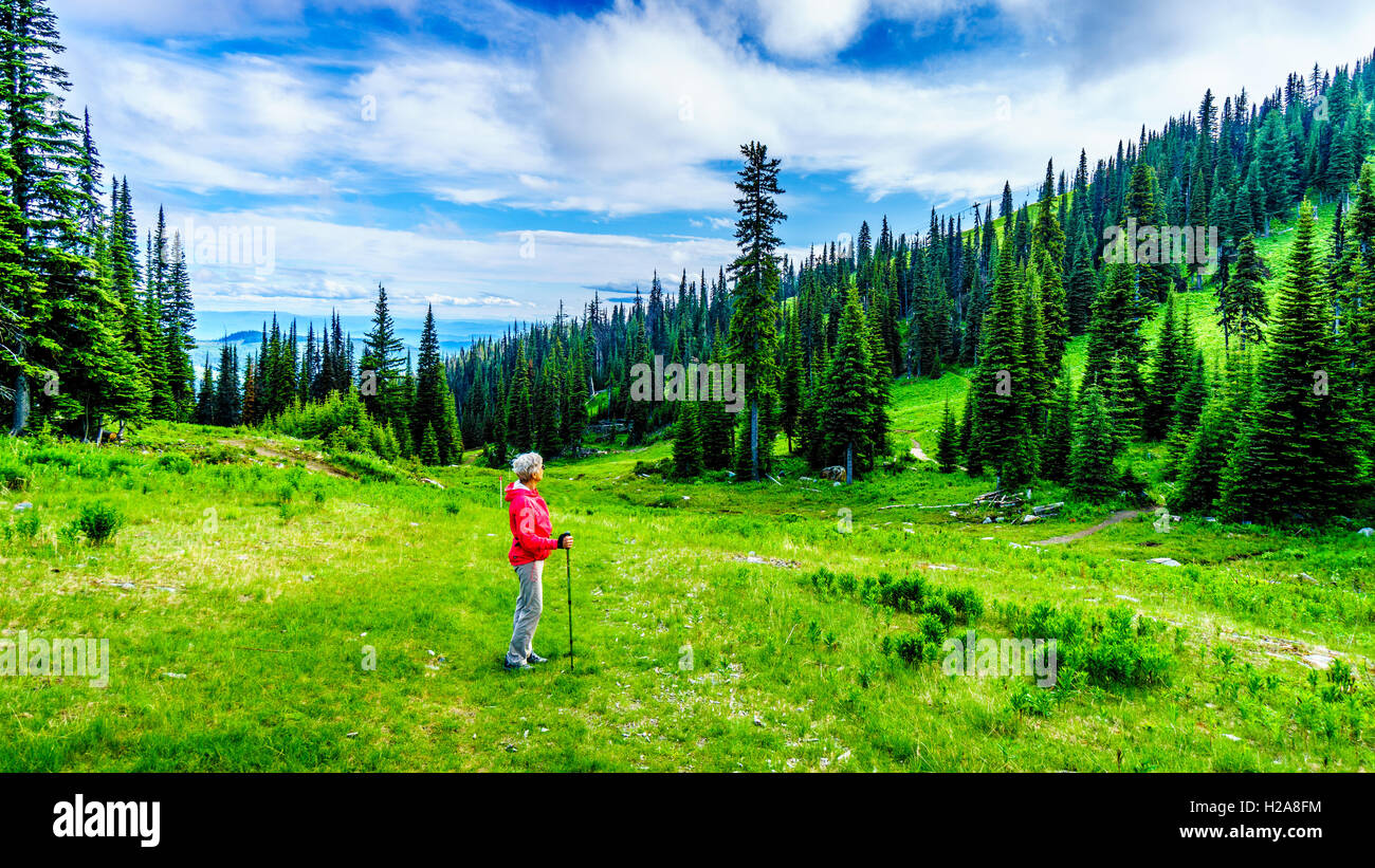 Ältere Frau genießen die Aussicht vom Wanderweg auf dem Tod Mountain in der Shuswap-Hochland von Zentral-British Columbia, Kanada Stockfoto