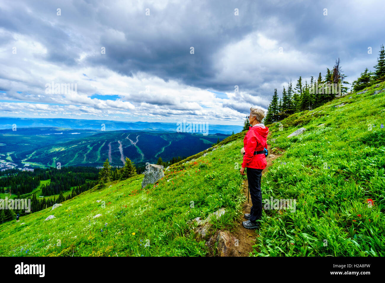 Ältere Frau Mountain Top Ausblick auf Sun Peaks Tal aus einen Wanderweg auf dem Tod Mountain in der Shuswap-Hochland Stockfoto
