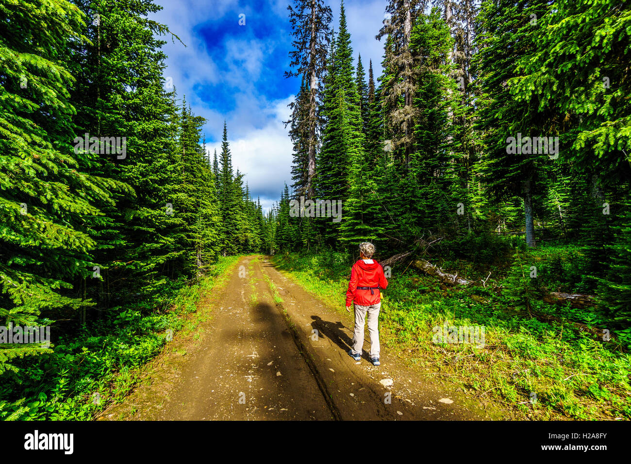 Senior-Frau in einer roten Jacke, Wandern auf dem Tod Mountain in der Shuswap-Hochland von Britisch-Kolumbien, Kanada Stockfoto
