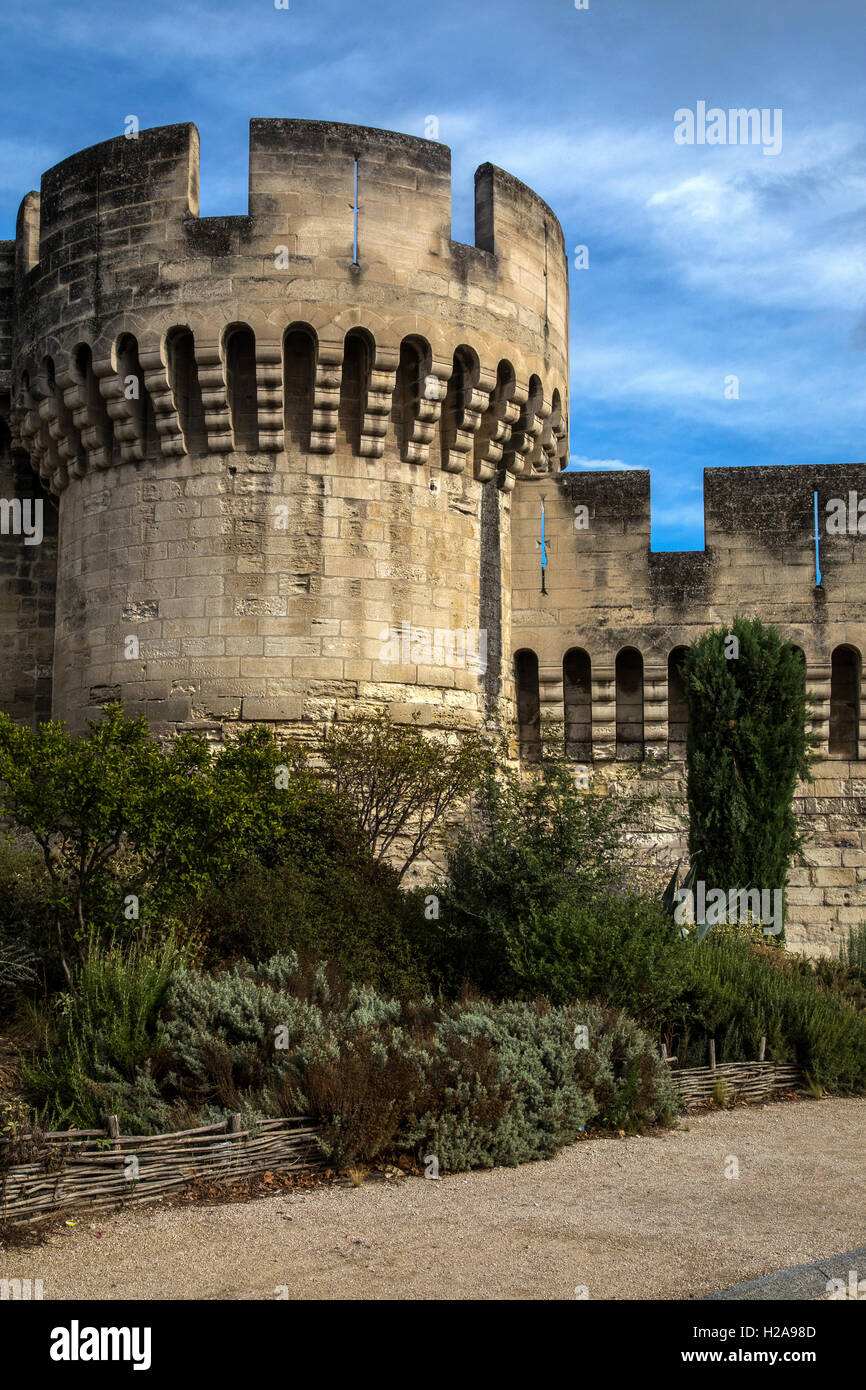 Die Stadtmauer von Avignon umschließen die gesamte alte Stadt Avignon und sind mehr als 4 Kilometer lang.  Sie wurden von Papst In gebaut. Stockfoto