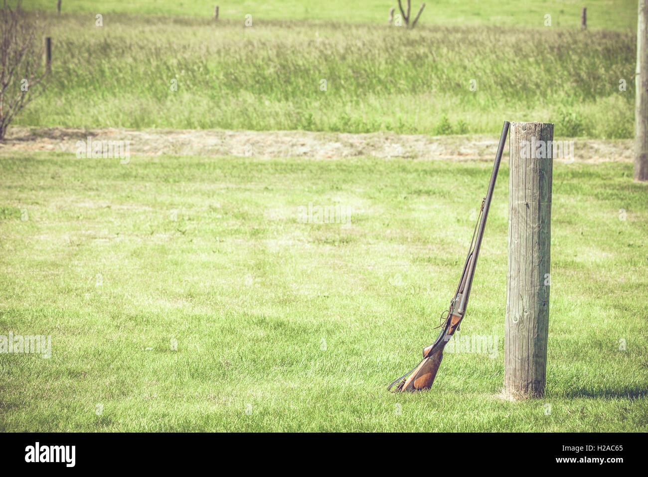 Waffe gegen ein Holzscheit auf ein Outdoor-Schießstand Stockfoto