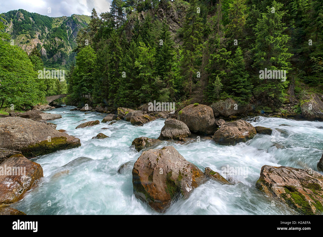 Schreckliche von Pré-Saint-Didier, Bergfluss im Wald, La Thuile Tal, Valle d ' Aosta, Alpi Graie, Italien, Europa Stockfoto