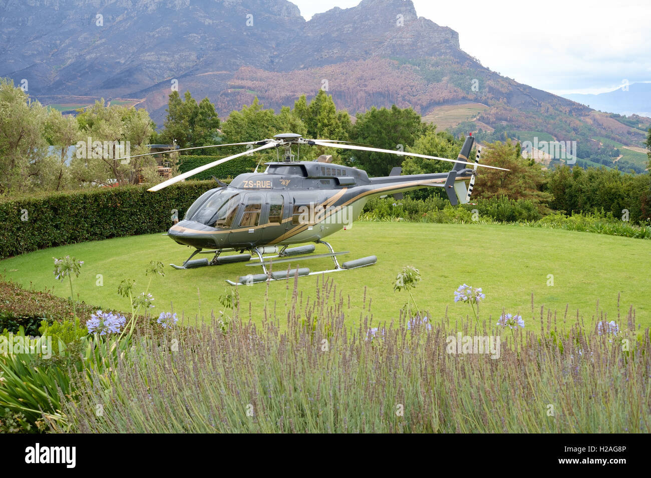 Hubschrauber landet auf dem Hubschrauberlandeplatz am Delaire Graff Estate, Stellenbosch, Südafrika Africal Stockfoto