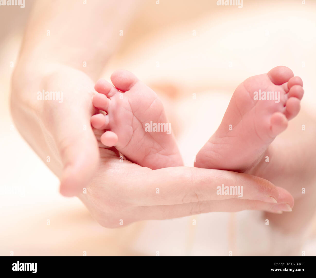 Winzigen neugeborenen Babys Füße auf weibliche Hände closeup Stockfoto