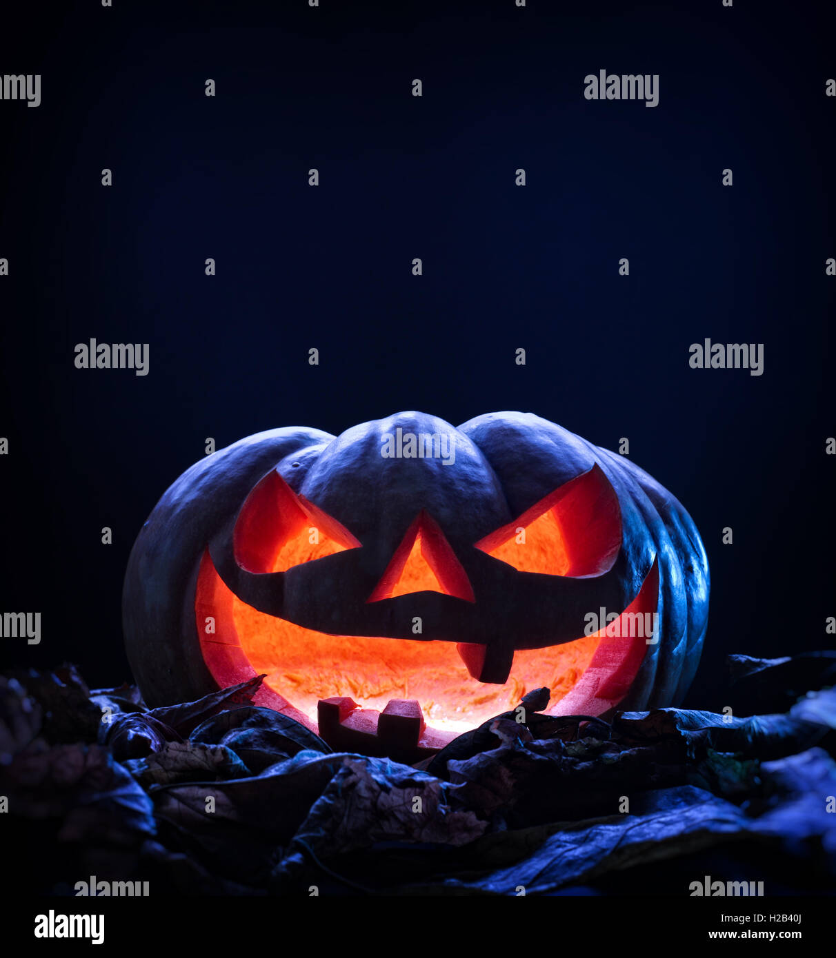 Halloween Kürbis und in der Nacht Stockfoto