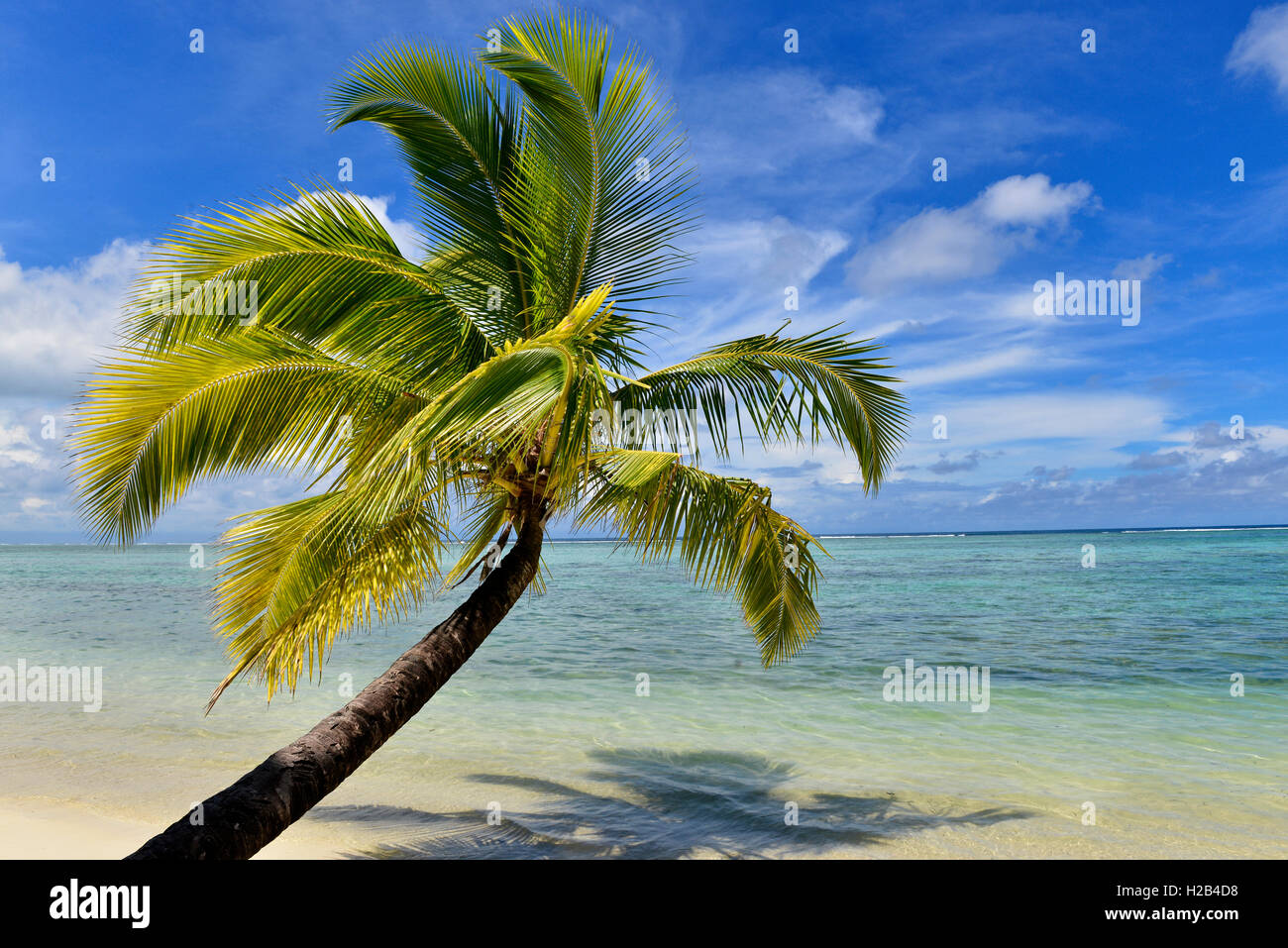 Paradise Strand, Palmen und Meer, Nosy Mangabe, Ostküste, Madagaskar Stockfoto