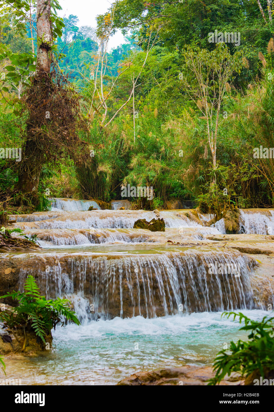 Kleine Wasserfälle, Kaskaden, Tat Kuang Si Wasserfällen, Luang Prabang, Laos Stockfoto