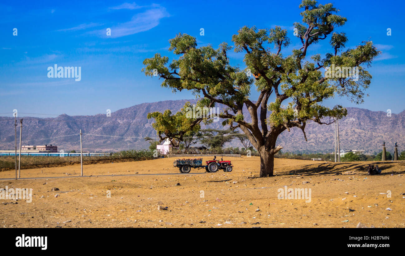 Eine Wüste in berühmten Stadt Pushkar, Indien Stockfoto