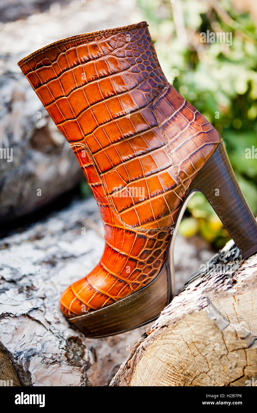 Krokodil Leder Ankle-Boots für Frauen Stockfoto