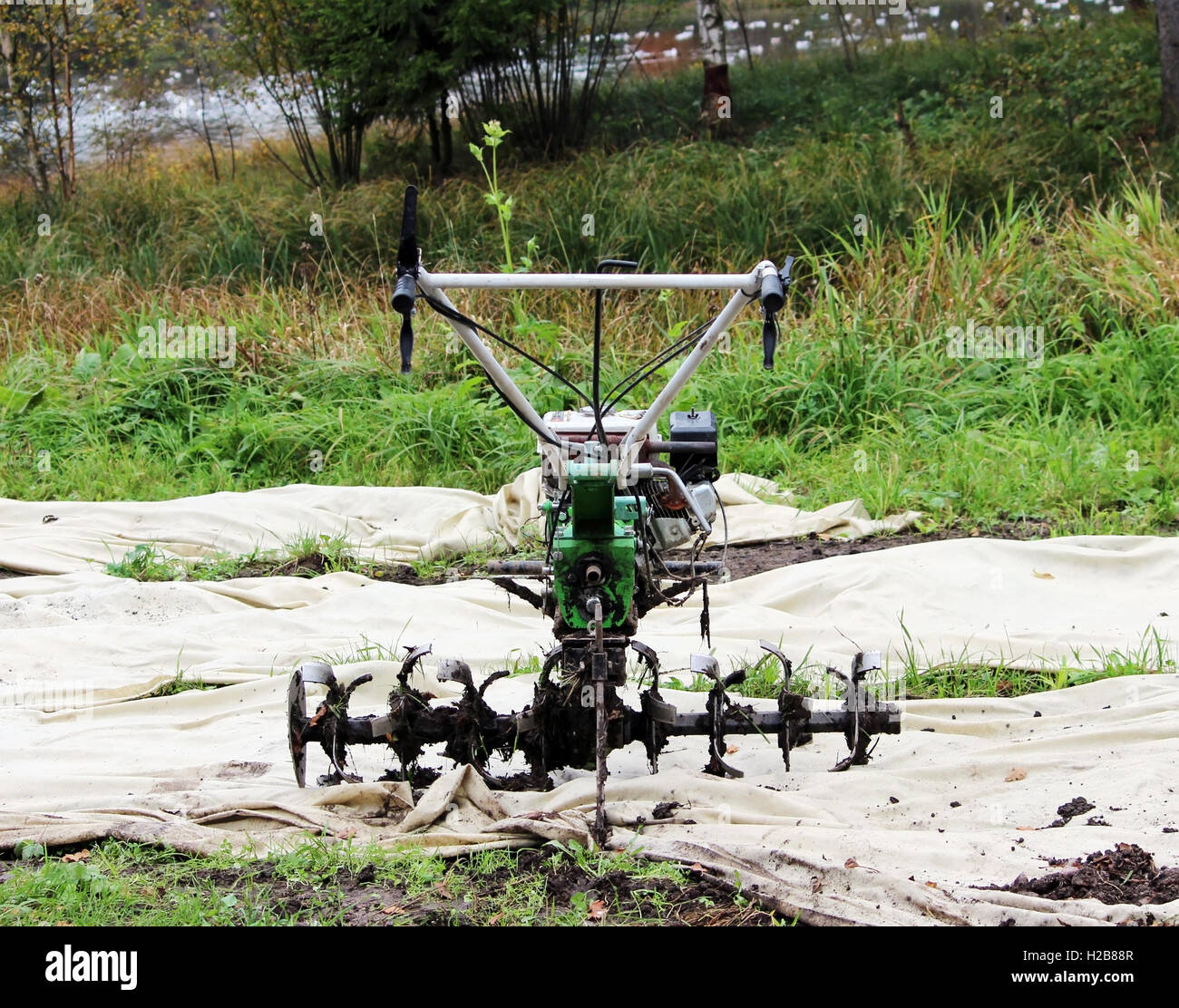 Motor-Motorhacke Gartenfräse in Gattschina Park arbeitet auf dem Boden warten auf Arbeit Stockfoto